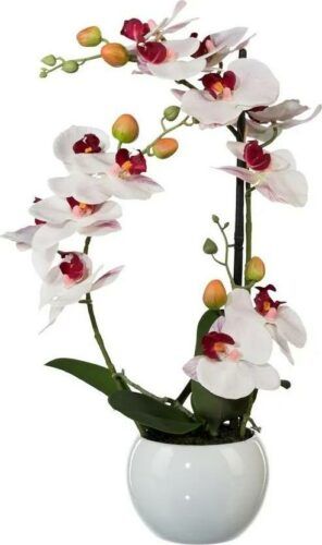 Umělá Orchidej v keramickém květináči bílá